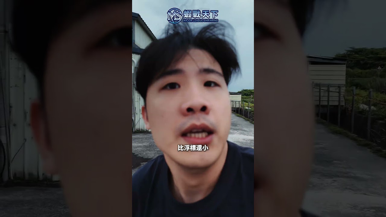 今天這間蝦場EP.16【MLS蝦戰天下】#17shrimp #台湾のエビ釣り #shrimpfishing #새우낚시