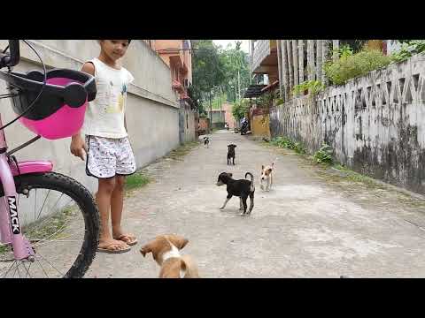 Anshuk and Mihika playing with pubby buddies (2021)-2