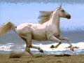 May The Horse Be With You-RelientK