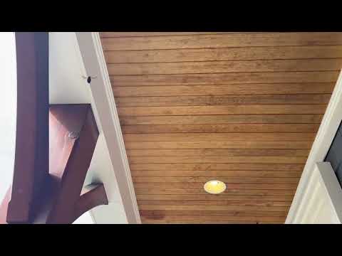 Carpenter Bees Infest Overhang in Colts...