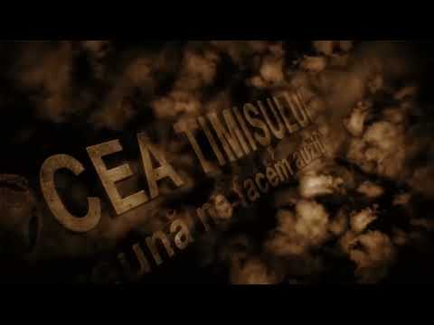 Brantner, foștii polițiști și administrația Fritz: Rețea de interese pe banii timișorenilor!