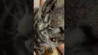 ごろごろ