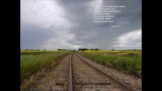 Levee Camp Moan By Son House