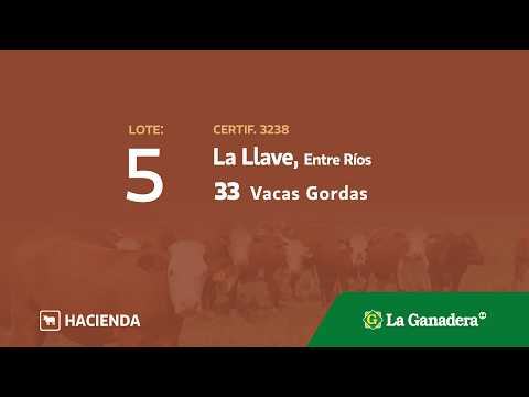 Lote Vacas Gordas La llave