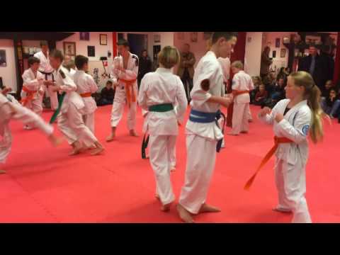 Examens junioren budokai tsunami