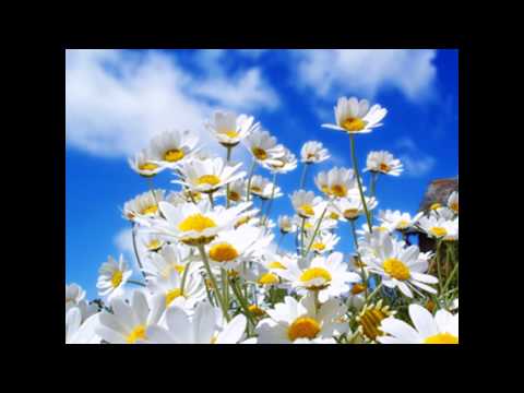 Mùa Đông tuyết trắng - Kim Tước