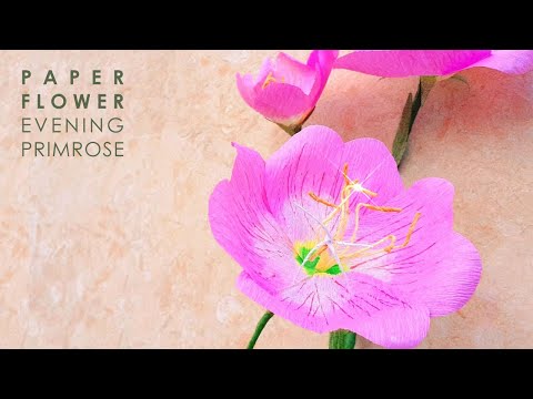 Paper Flower 🌸 Evening Primrose 💕 Let's make a beautiful and simple paper flower Evening Primrose 🏵️