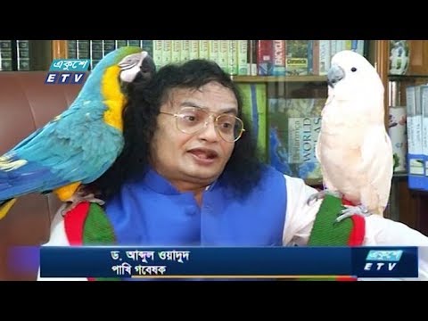 ভালো নেই কাঁটাবন মার্কেটের পশু-পাখিগুলো || ETV News