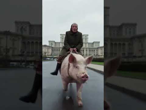 Cu porcul la galop prin București #shortsromania #funny #sora #shorts #comedie #memes