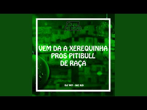 VEM DA A XEREQUINHA PROS PITIBULL DE RAÇA