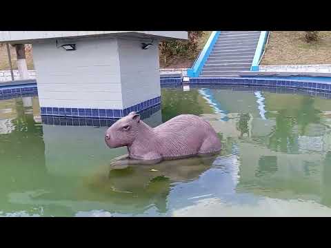 NA PRAÇA DA CIDADE DE SALGADINHO PERNAMBUCO 03 DE NOVEMBRO 2025