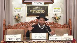 הרב יוחאי קמיל   פרשת השבוע   מוסאיוף