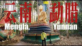 Download lagu 【4K】去雲南最南邊境縣城，探索熱帶雨林裏的獨特風物Explore tropical rainforest scenery in Yunnan's southernmost border county mp3