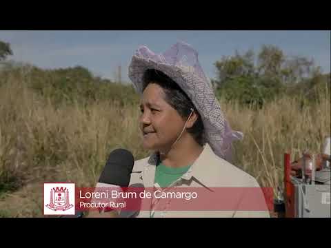 Prefeitura de Várzea Grande fomenta apicultura