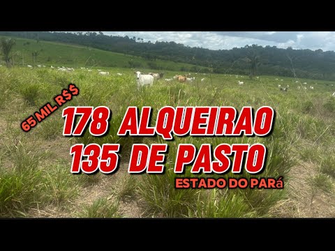 OLHA QUE FAZENDA ARRUMADA NA REGIÃO DE SENADOR JOSÉ PORFÍRIO 😳 178 Alqueirao goiano .