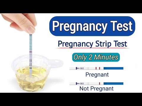 Urine Pregnancy Test at Home | hCG Strip Test Explained