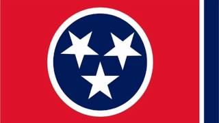 Reigning Sound "Tennessee" Live at GONER (Carl Perkins cover)