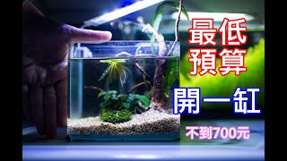 低成本小魚缸 | 都買新的！不到七百塊真的可以開一個小魚缸養東西嗎？ | low budget fish tank | can it work ?