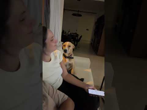 Familia con autoridad. Créditos: facuzabala.fz