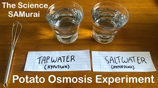 Potato Osmosis Experiment: Hypotonic vs. Hypertonic Solutions | The Science SAMurai