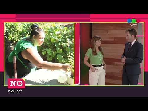 REPASO CONTAGIOS DENGUE EN LA PROVINCIA DE SANTA FE