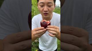 Download lagu If someone gets stuck in the jungle, it's fun mp3 Download lagu If someone gets stuck in the jungle, it's fun mp3