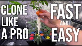 Thumbnail for video: Clone Like a Pro - Never Lose a Clone Again - 100% Success Rate