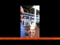 Lappert's Ice Cream - Poipu Kauai - Scott Sylvan Bell [TRAVELBLOGTROPICAL.COM]