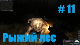 Прохождение СТАЛКЕР Чистое Небо - Часть 11: Рыжий лес