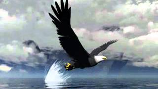 ALB feat The Shoes   Golden Chains