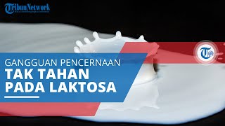 Intoleransi Laktosa, Gangguan Pencernaan hingga Diare akibat Tubuh Tidak Dapat Mencerna Laktosa