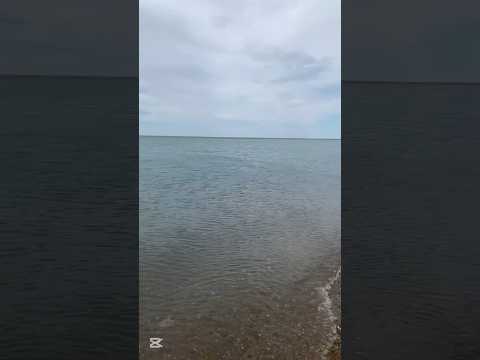 Sabías esto de Puerto San Julián? #argentina #patagonia #viajeros #vanlife #santacruz