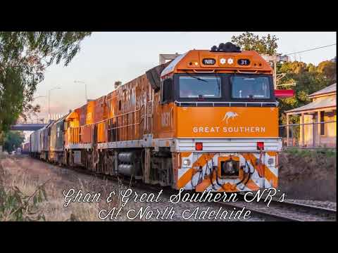 Great Southern NR's on 3AM5 and 'The Ghan' NR74 on 5AM5 at North Adelaide | Hornshow from GS NR31!