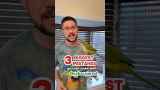 3 Biggest Mistakes You Can Make with a Quaker Parrot