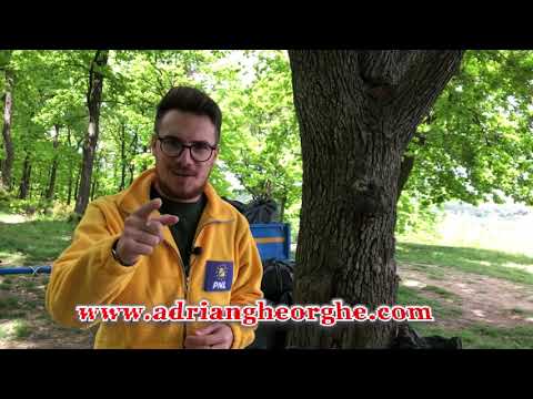 Acțiune ecologizare "Podgoria Mai Curată" | Adrian Gheorghe - Consilier Local