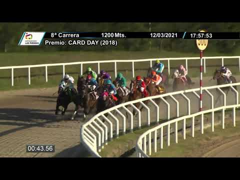 210312 c08 - DYNAMON - HIPODROMO LAS PIEDRAS