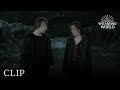 Hermione Destroys Horcrux And Kisses Ron Harry Potter And The Deathly Hallows Pt 2