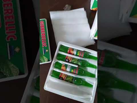 0.186% S.p Liquid Agrinex Gibbaralic Acid, Bottle, 10ml