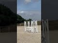 Cheval de sport pour CCE AMAT 1 / Elite 