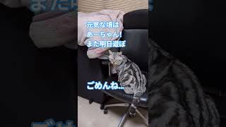 2026年7月29日