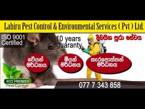 Lahiru Pest Control Service