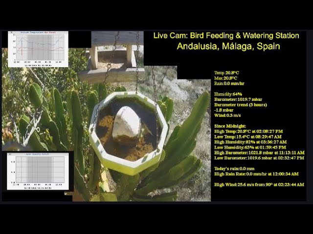 Live webcam view of Bird Feeder & Watering Station, Málaga