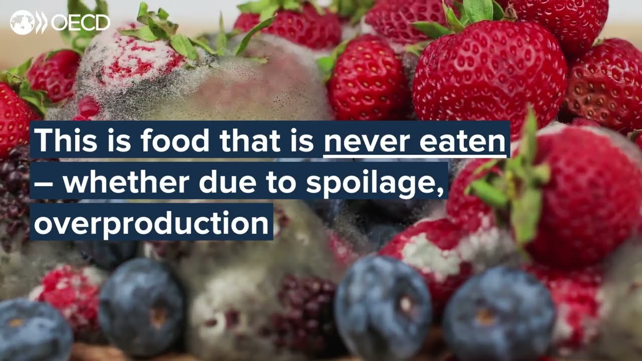 What can policymakers do to tackle the issue of food loss and waste?