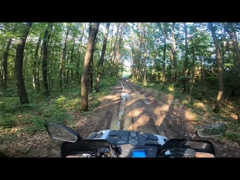 Activitati de vara la Casa Cartianu