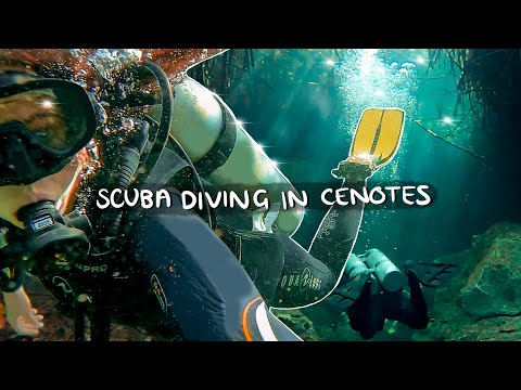 BEST Cenote Scuba Diving in Tulum 🧜🏼‍♀️✨Casa Cenote + Cenote Angelita