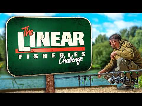 Day Ticket Carp Fishing Challenge With Tom Maker
