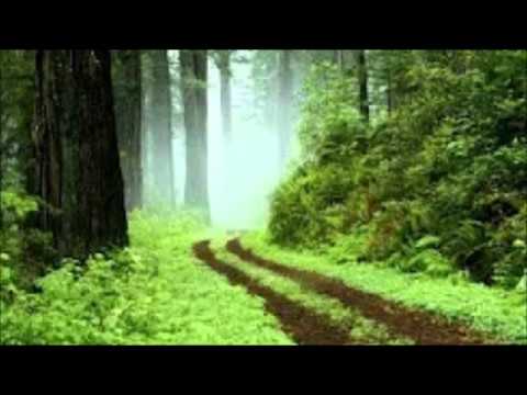 TRACK ID ZENTRAL (MADRID) 1993 Dj YKE Two version from the same record (2.28 Start Version 2) [04]