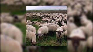 *FREE* $UICIDEBOY$ — SECOND COMING [REPROD. by Disco] instrumental