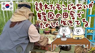 【日韓夫婦】あるものでなんとかする!でも欲しいものは欲しい!!【田舎暮らしブイログ】