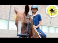 Die Erste Reitstunde Tigerenten Club